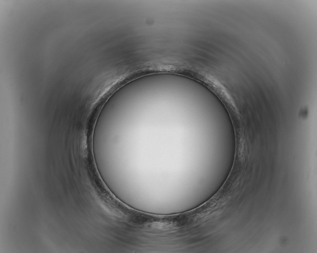 X0000091070251200708061029