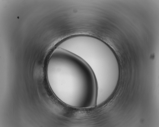 X0000091070252200708061029