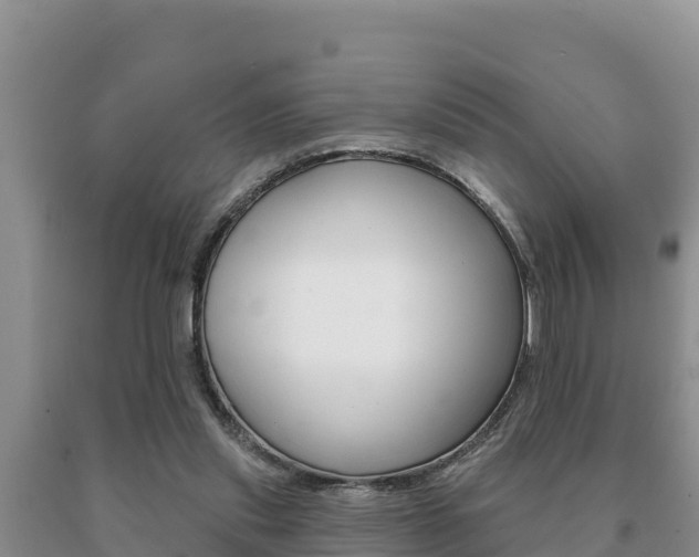 X0000091070253200708061029