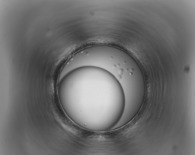 X0000091070254200708061029