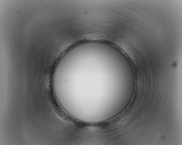X0000091070255200708061029
