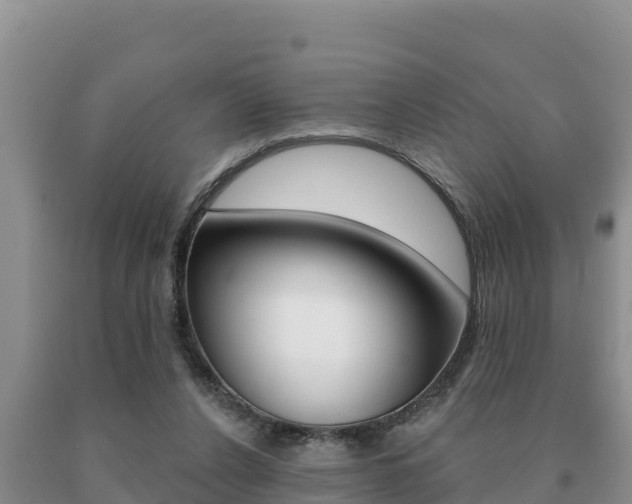 X0000091070256200708061029