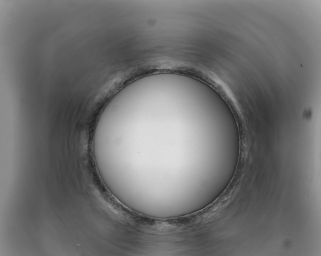 X0000091070257200708061029
