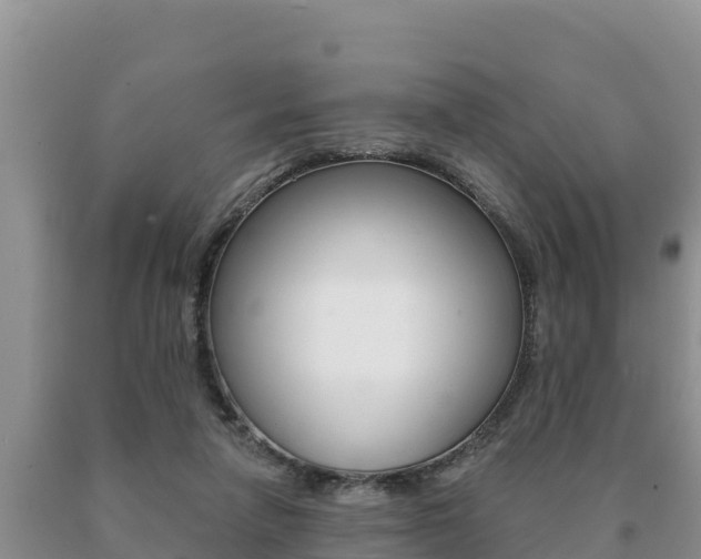 X0000091070258200708061029
