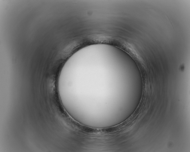 X0000091070259200708061029