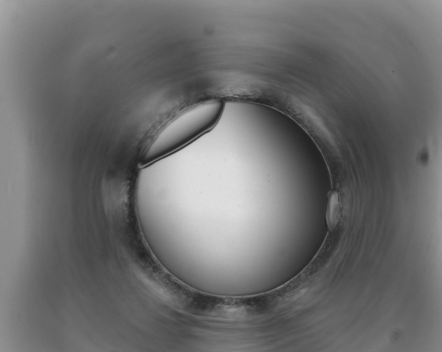 X0000091070260200708061029