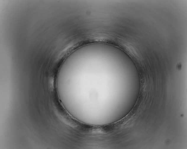 X0000091070262200708061029