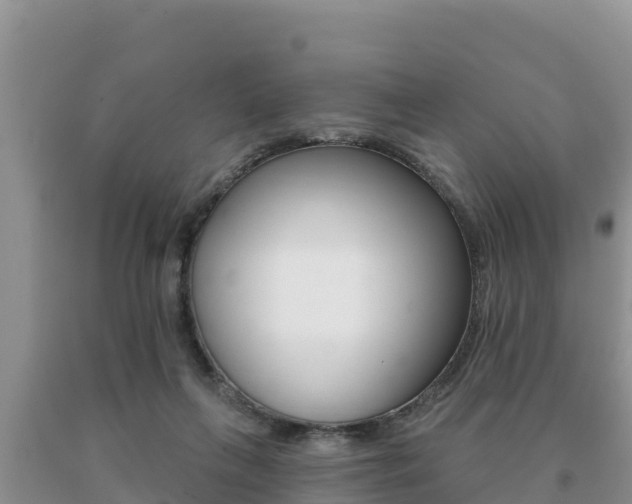 X0000091070263200708061029
