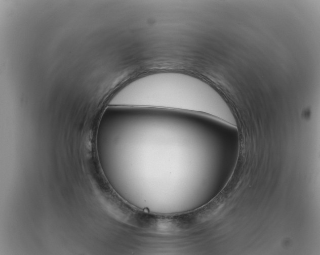 X0000091070264200708061029