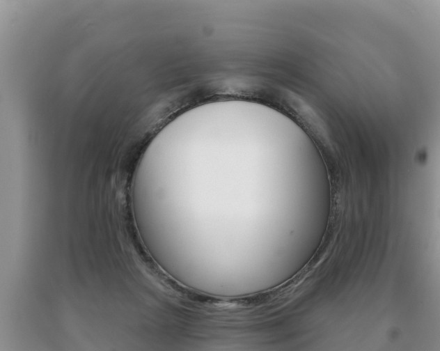 X0000091070265200708061029