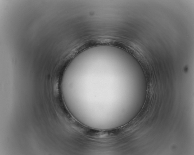 X0000091070267200708061029