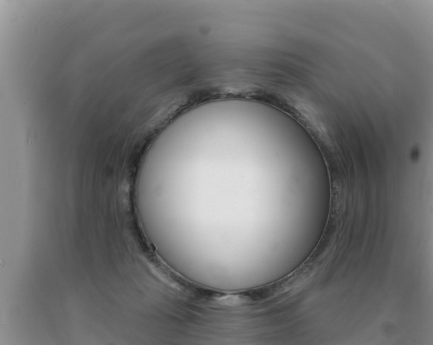 X0000091070269200708061030