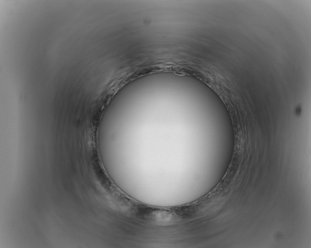 X0000091070272200708061030
