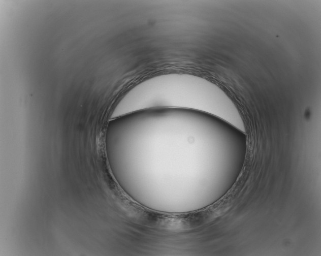 X0000091070276200708061030