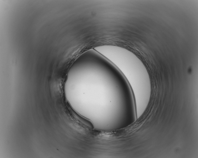 X0000091070280200708061030