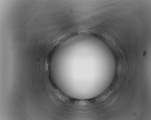 X0000091070282200708061030