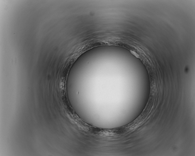 X0000091070284200708061030