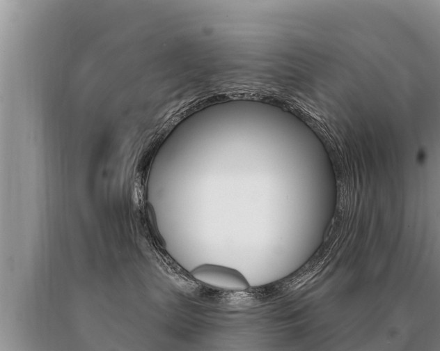 X0000091070287200708061030
