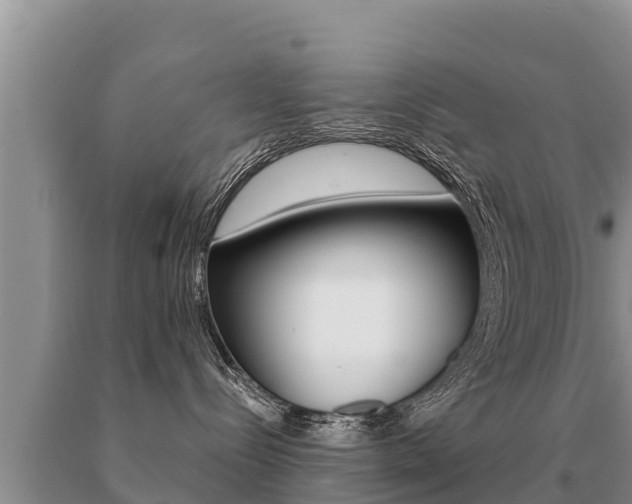X0000091070288200708061030