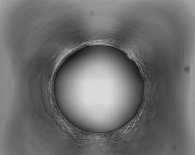 X0000091070289200708061029