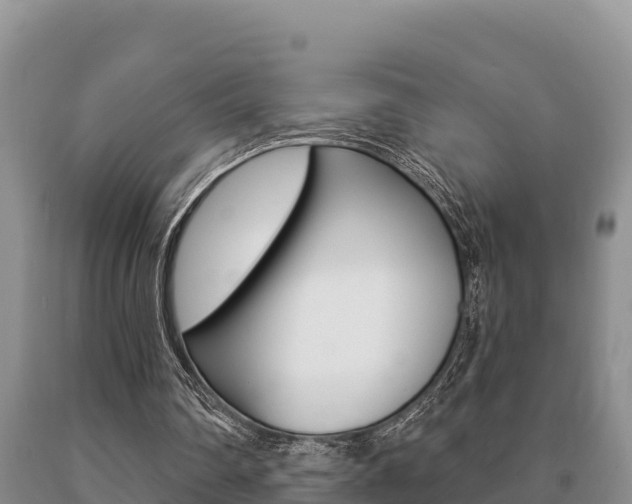 X0000091070290200708061029