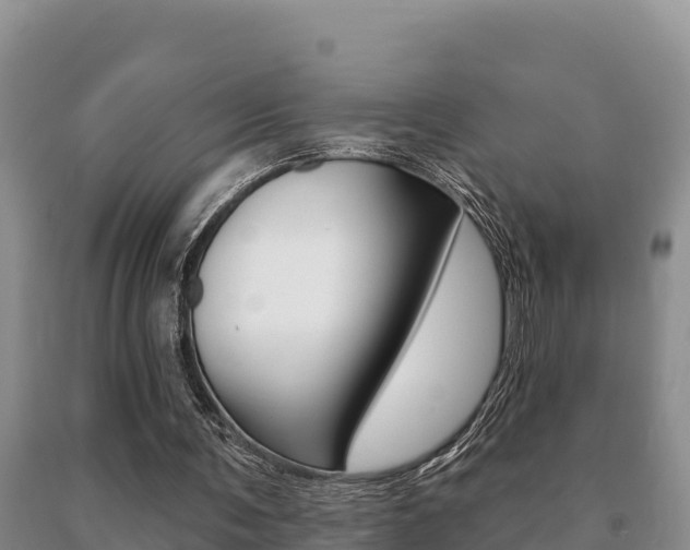 X0000091070291200708061029