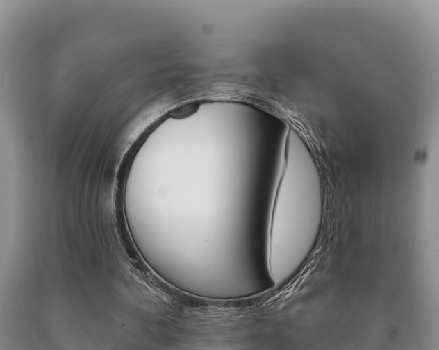 X0000091070292200708061029