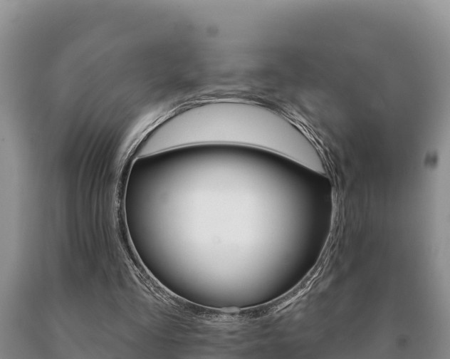 X0000091070293200708061029