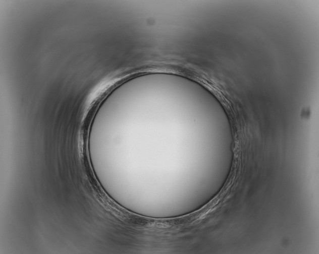 X0000091070294200708061029