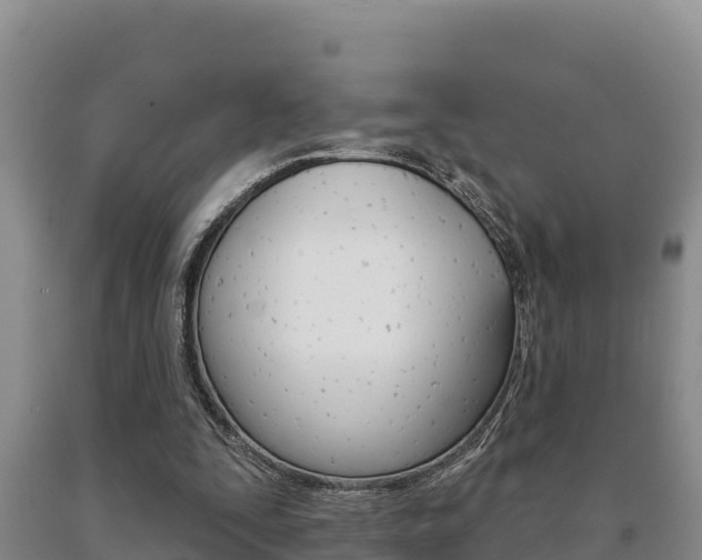 X0000091070295200708061029