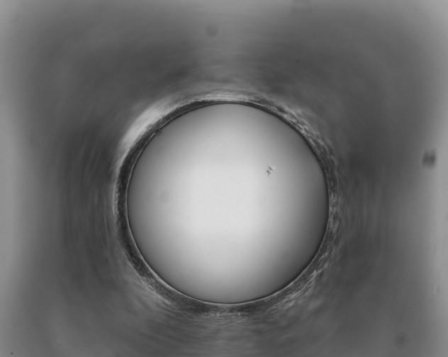 X0000091070296200708061029