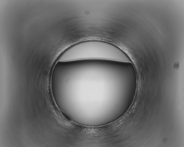 X0000091070297200708061029