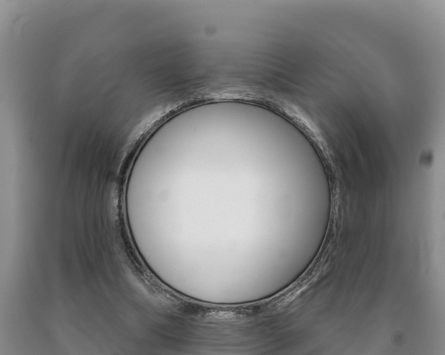 X0000091070298200708061029