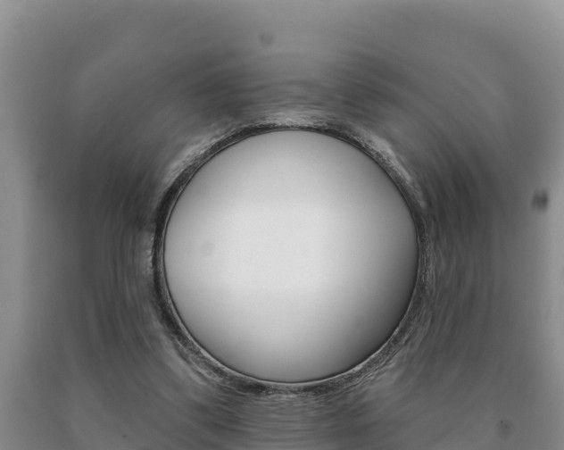 X0000091070299200708061029