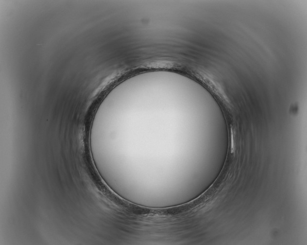 X0000091070300200708061029