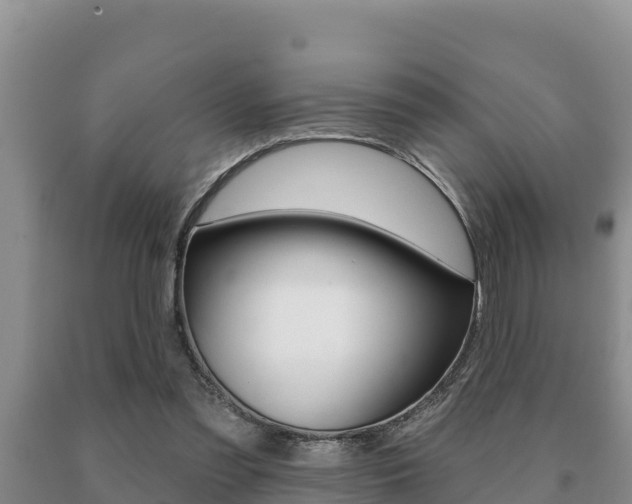 X0000091070301200708061029