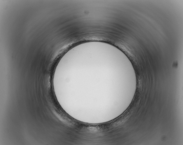 X0000091070302200708061029