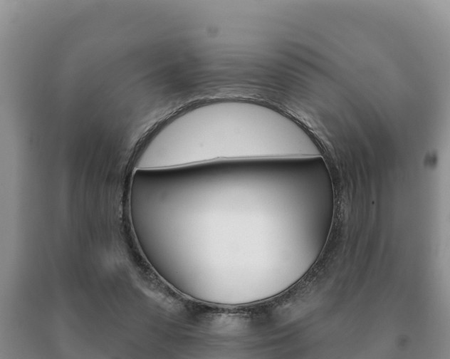 X0000091070303200708061029