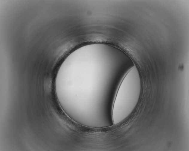 X0000091070304200708061029