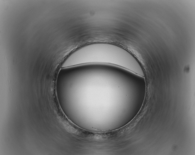 X0000091070305200708061029
