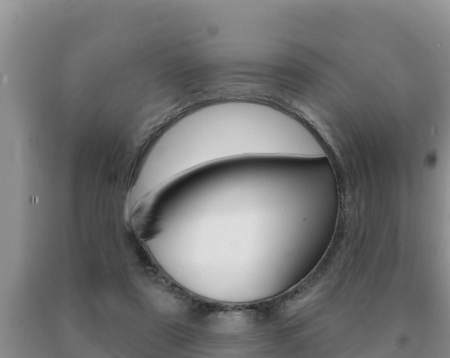 X0000091070307200708061029