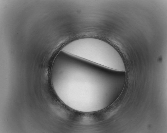 X0000091070308200708061029