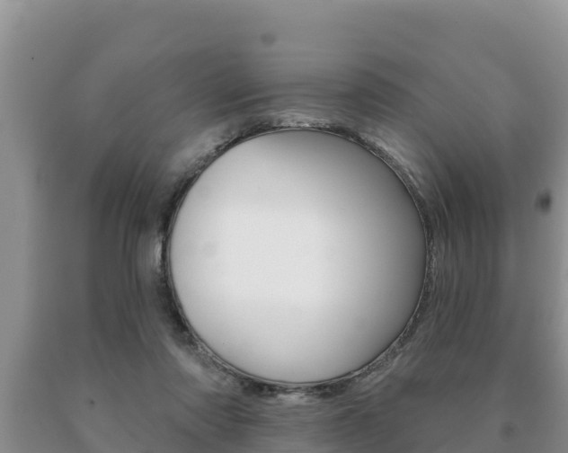 X0000091070310200708061029