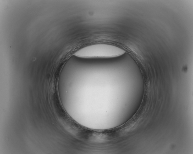 X0000091070311200708061029