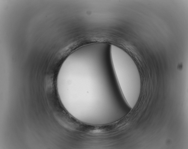 X0000091070312200708061029