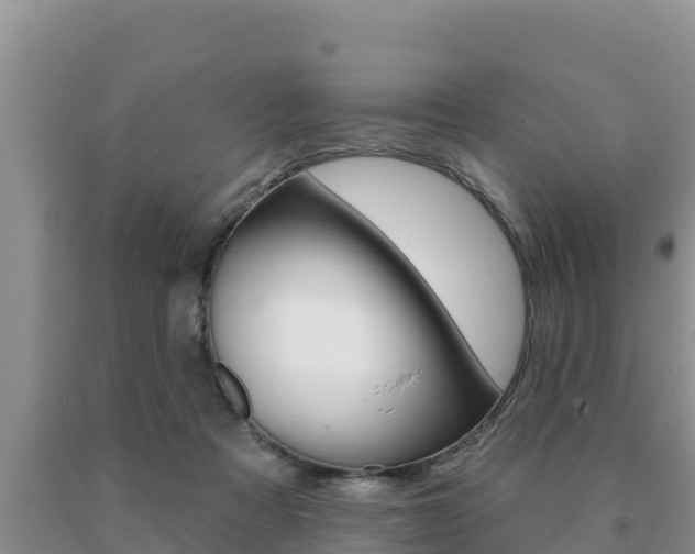 X0000091070313200708061029