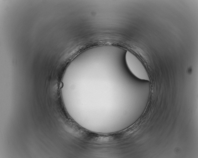 X0000091070314200708061029