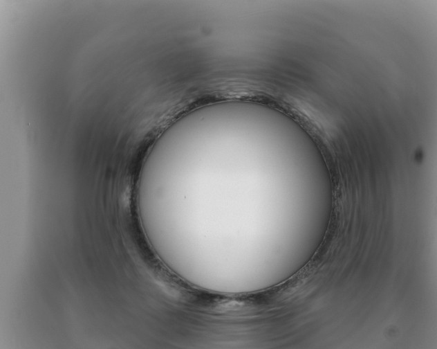 X0000091070315200708061029