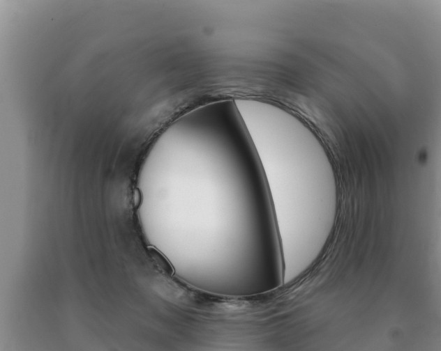 X0000091070317200708061029