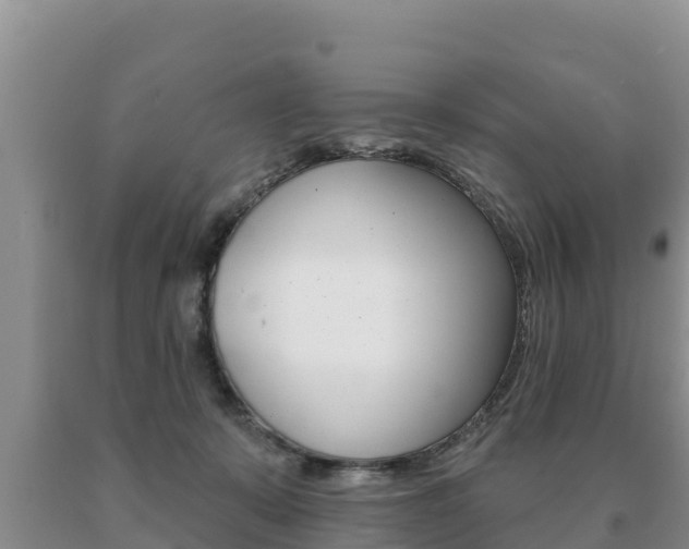 X0000091070319200708061029